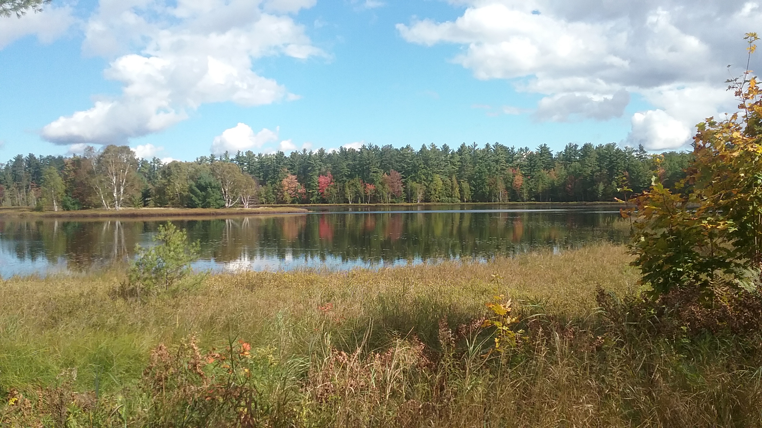 Image: USDA Forest Service Hiawatha National Forest